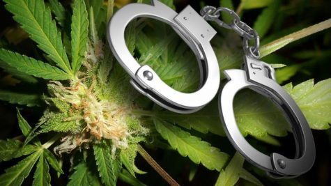 Medical cannabis legalization may reduce crime