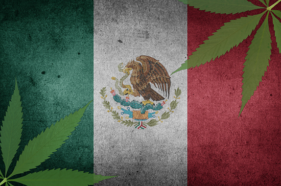 Mexicos lower house passes bill approving cannabis for medicinal use