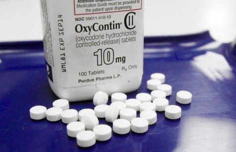 Survey: Pain patients prefer cannabis to opioids