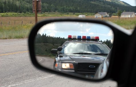 States with legalized cannabis see dramatic drop in police searches