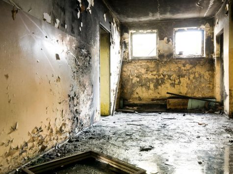 Home cultivators leave behind properties with mold, other damage