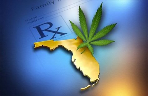 Florida lawyer and advocate sues state for banning private smoking of medical cannabis