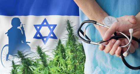 Israeli Lawmakers approve law to export medical cannabis