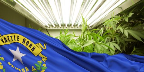 Expanded cannabis distribution rights approved in Nevada