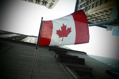 Medical cannabis industry in Canada could be global giant