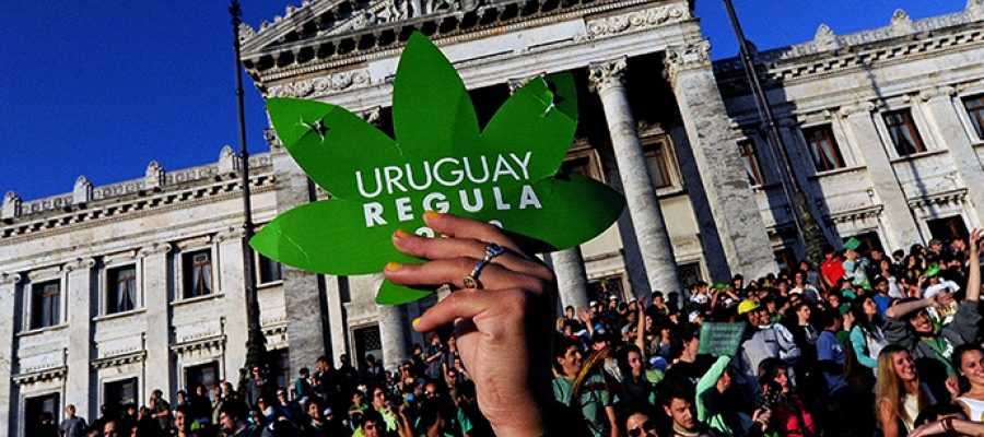 Banks threaten cannabis sales in Uruguay