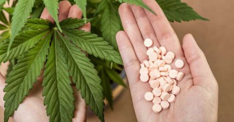 Feds study if cannabis leads to curbing opioid epidemic