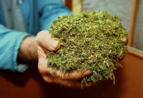 DEA decreases amount of cannabis for federal research