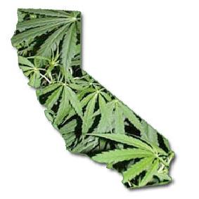 Social cannabis licenses will be issued in California beginning January 1