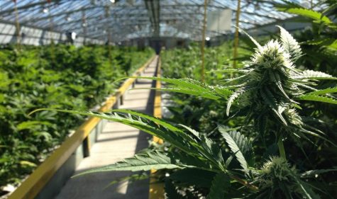 Veteran takes police to court after illegal raid