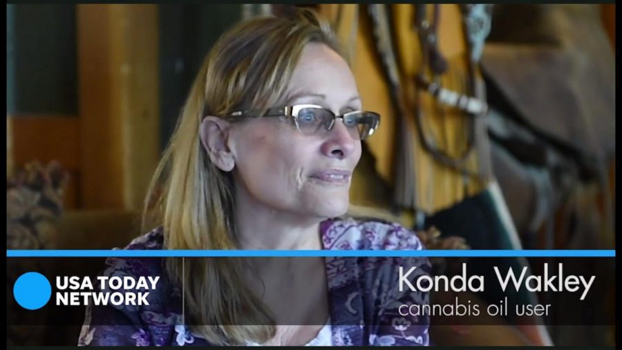 VIDEO: States forge path through uncharted territory to legal cannabis
