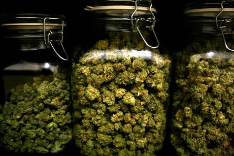 Oregon has too much cannabis