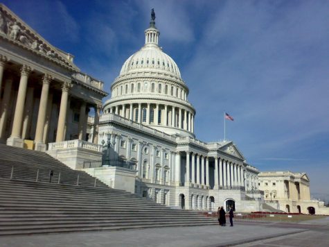 Congress most likely to maintain medical cannabis protections, contradicting AG Sessions