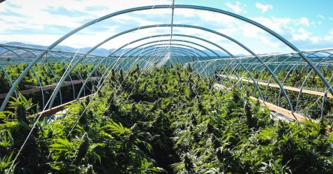 Lawsuit by Florida resident claims special law discriminates against minority farmers