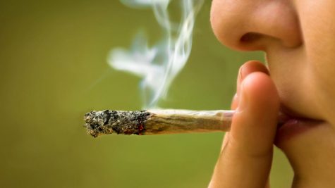 Adolescent cannabis consumption rate lowest in 20 years