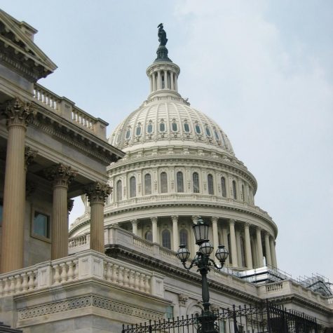 Congress blocks Washington, D.C. from legalizing cannabis sales