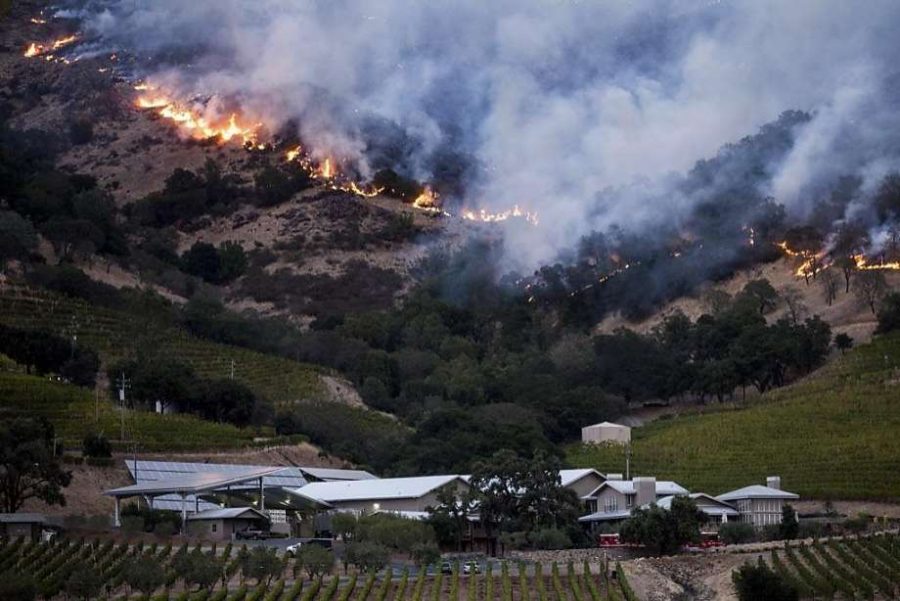 Fires threaten northern California cannabis crops at harvest time