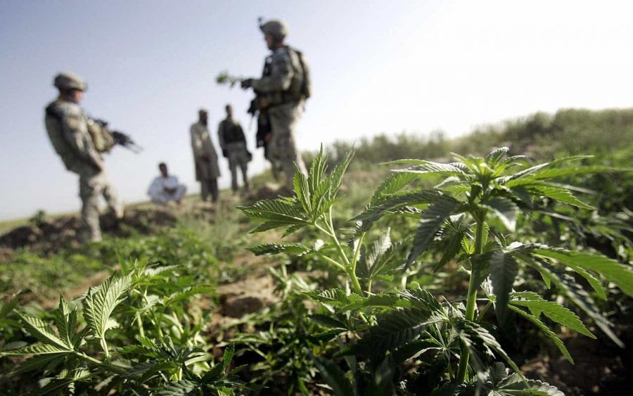 U.S. Army is granting more cannabis waivers