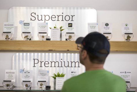 Nevada’s social cannabis sales for September higher than state’s projections