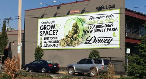 Cannabis ads have little influence on consumption