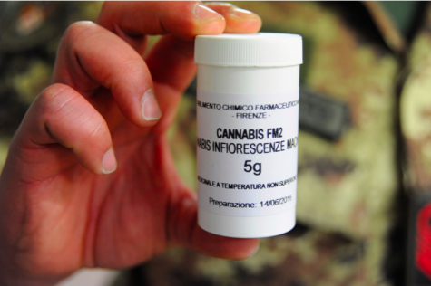 Italy’s army-grown medical cannabis does not meet the country’s needs