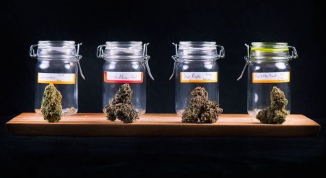 One third of adults are cannabis consumers in cannabis legal states