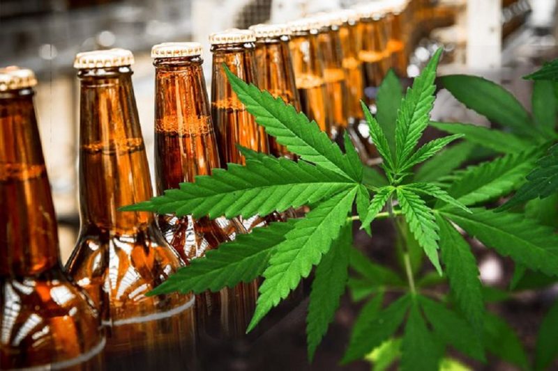 Alcohol sales dropped 15% in medically legal cannabis states