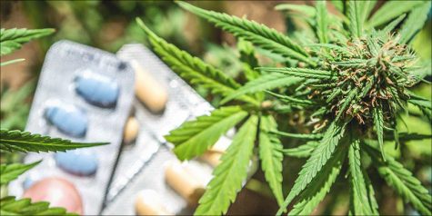 Opioid users in Vancouver are substituting medication for cannabis