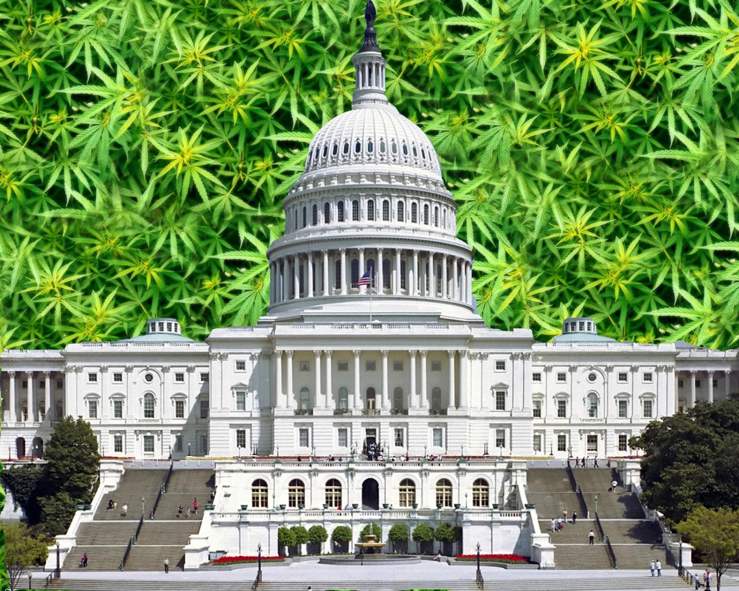 Congress reintroduces federal cannabis legalization bill, Senate