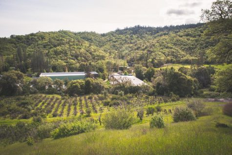 A cannabis brand is all set to turn former California winery into first-ever cannabis tourist site