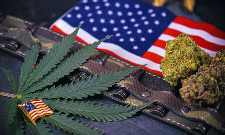 Veterans Health Administration urges vets to open up about cannabis use with their doctors