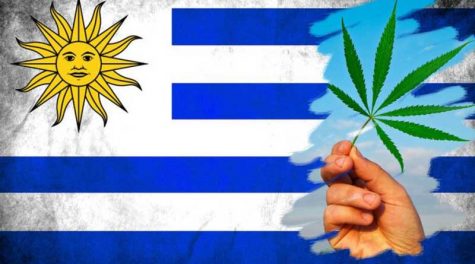 https://www.occnewspaper.com/legal-retail-marijuana-now-sold-in-uruguay/