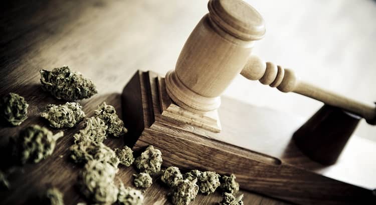 Federal judge drops cannabis trimming companys case against U.S. Border Patrol
