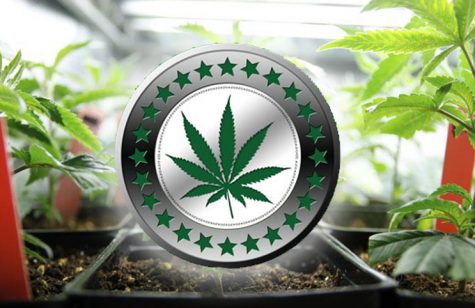 Cannabis cryptocurrency and bitcoin craze gaining global momentum
