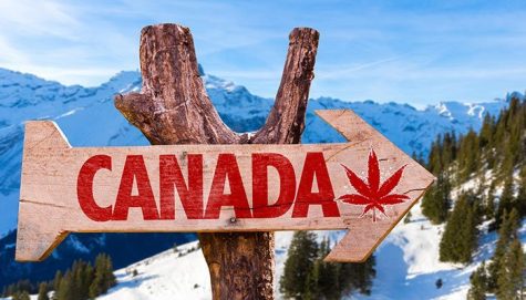 Looming cannabis legalization brings jobs to Canada
