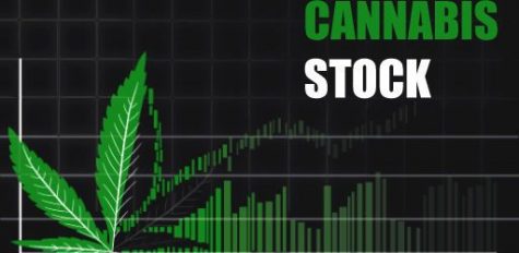 Investors should keep their eye on these Israeli medical cannabis stocks