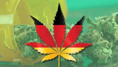 Germany will rely on Canadian-exported marijuana after judge halts licensing process