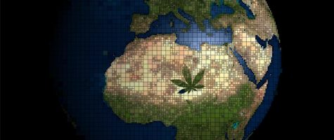 Cannabis gone global: first ever medical cannabis shipment sent to Canada from Africa