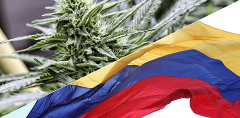 Colombia is piquing the interest of Canadian cannabis investors