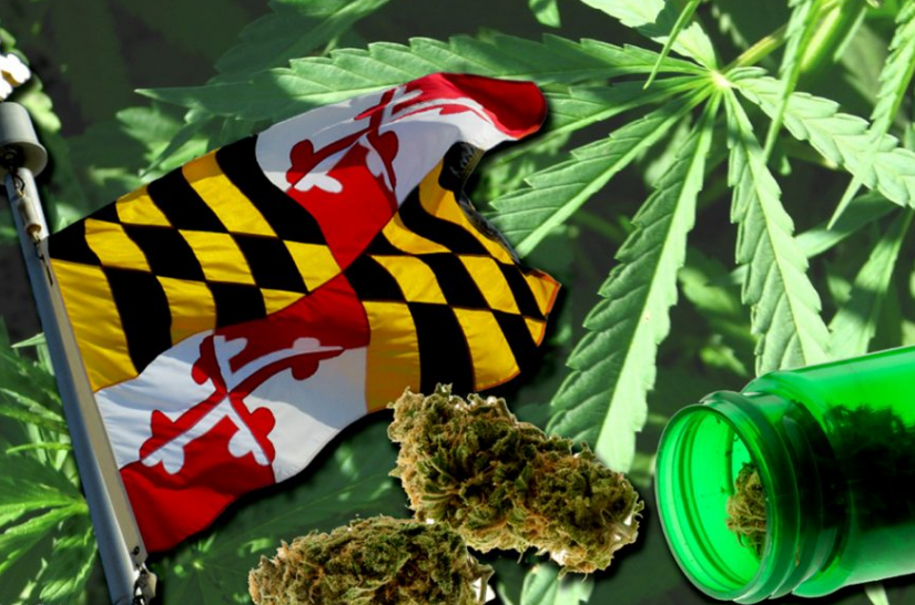 Maryland is pushing for a more diverse cannabis industry