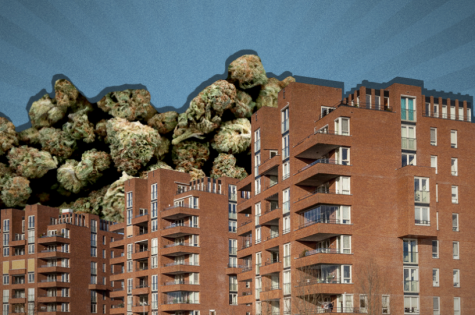 Low-income people can’t use medical cannabis in public housing, but that could change
