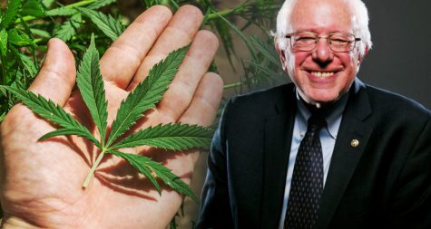 The Marijuana Justice Act is co-sponsored by Bernie Sanders