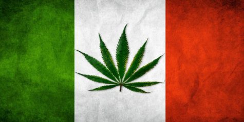 Medical cannabis production in Italy predicted to almost triple this year