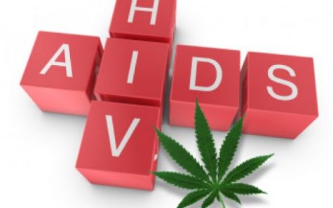 MSU researchers discover how cannabis can be used to sustain mental stamina in HIV patients