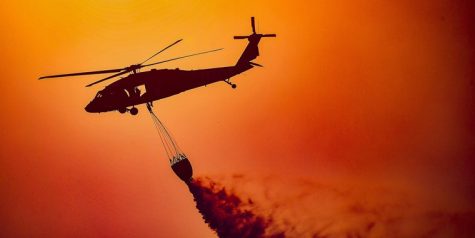 California cannabis company scoops a $1 million insurance payout after fire