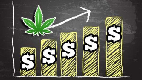 Cannabis industry analyst says investor interest is moving from Canada to the States