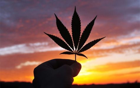 Global medical cannabis market set to be worth $28 billion by 2024