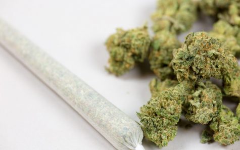 Survey reveals nearly 37 Million Americans used cannabis last year