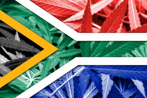 First legal medical cannabis dispensary opens in African continent
