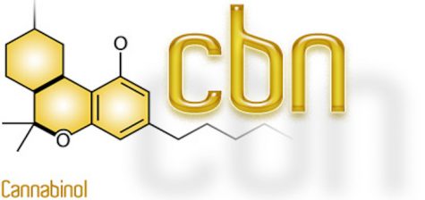 Cannabis Science buys patent for CBN compositions to treat sleep, anxiety and neurobehavioral disorders